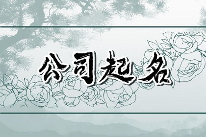 劳务公司名称大全 简单大气的企业取名