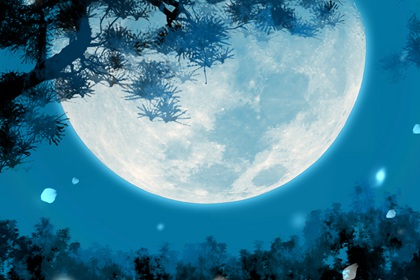 公司起名字2022免费八字起名  财运滚滚的公司取名