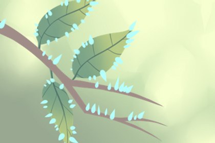 那些奇葩的客服名字，笑死宝宝了！