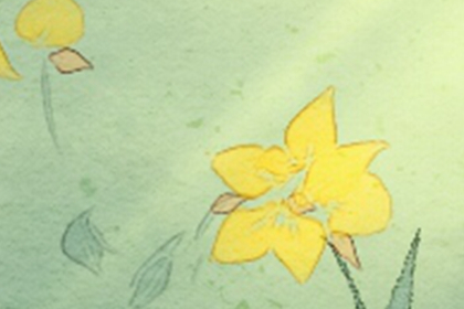 艾尔之光英文名字集锦，做高逼格游戏玩家