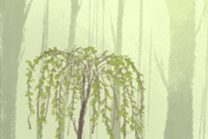 微博名字大全男生英文名字，forever