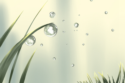 看不懂才高大上 诛仙英文名字大全