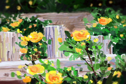 英语网名 一首小情歌