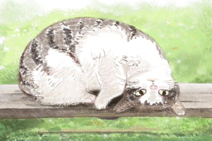 独特的微信名字英文 时尚弄潮儿