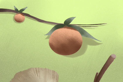 【12时辰对应起名】未时出生的女孩取名