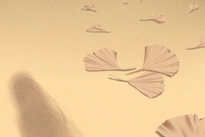 农历生日算命：农历初一出生日的命运解析