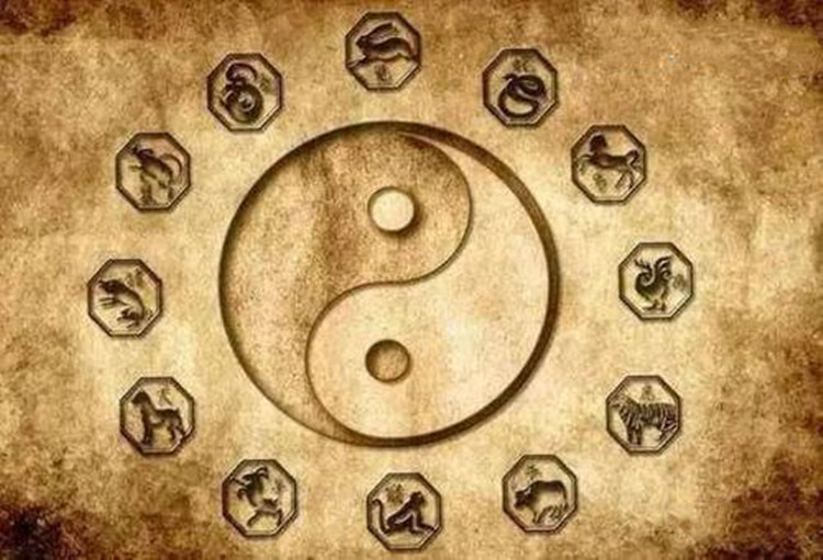 地支相合是什么 地支三合地支三会的区别