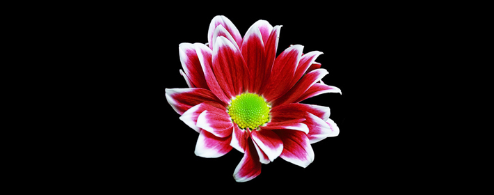 命运分析，右手断掌男命运如何