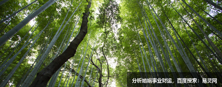 这些情况，风水布局不宜随意变