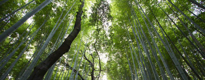 2015年今日财神方位查询表