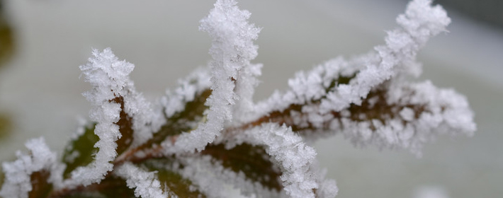 这些立冬习俗很有趣,你听过吗