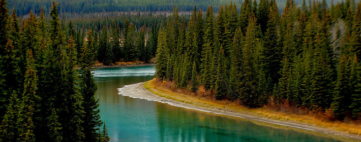 能把婚姻经营得井井有条的面相