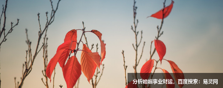 这种面相很少见，也真的很幸运