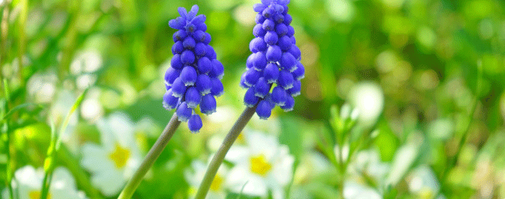 花心男人的眼睛面相有什么特征？