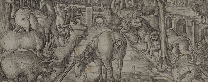 有事业心的事业女人面相特征