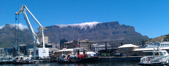 第35年珊瑚婚意义