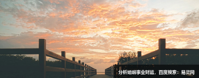 能够当官的手相都有什么特点呢