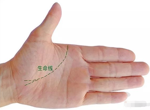 手相图解大全,教你手相看运程