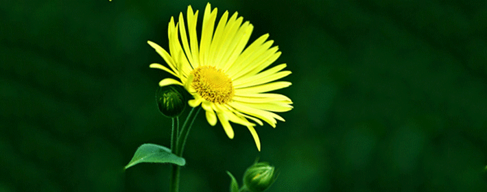 命运中最差手相有几种特点?