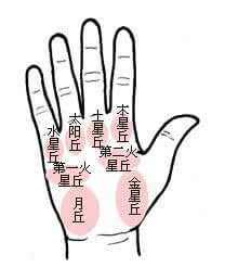 不同形态的掌丘代表的财运如何