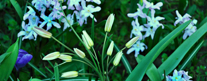 命里福薄之人，身上往往有这三个特征，十有九准！