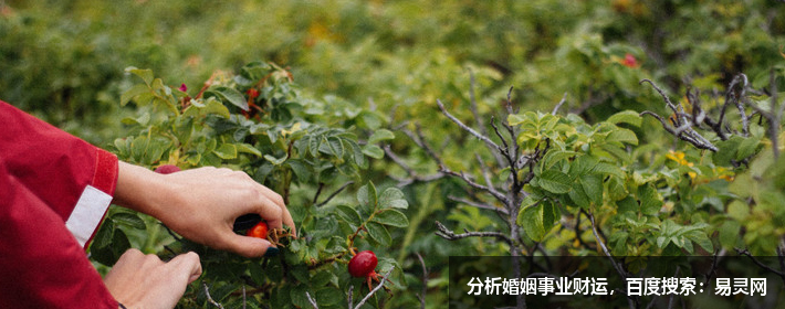 相术解析：从脚型看你是否富贵