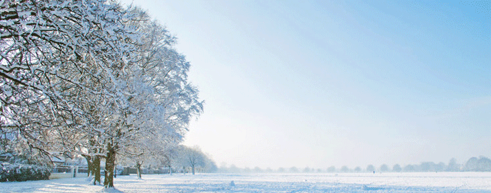 根据胎记看命运