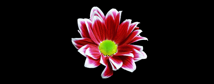 镜子摆放禁忌多,究竟怎么放才不影响运势?