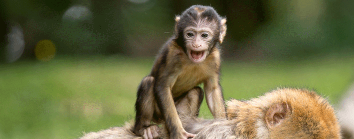 运气不好?试试挪下你的床!