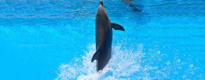 风水：布置厨房需要注意的事项