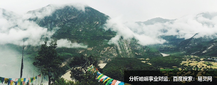 客厅风水大忌，家里可放假花吗