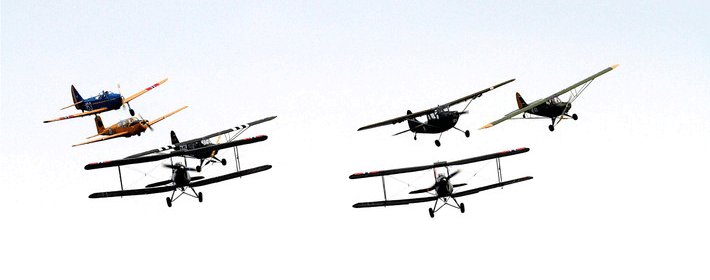 罗汉鱼养殖方法