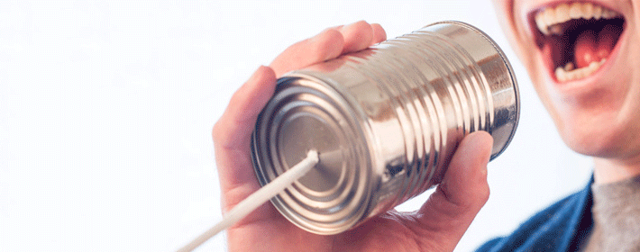 居家旺财的风水植物都有哪些?