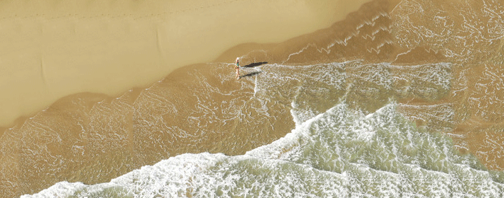 花瓶的摆放位置在风水中有哪些作用？