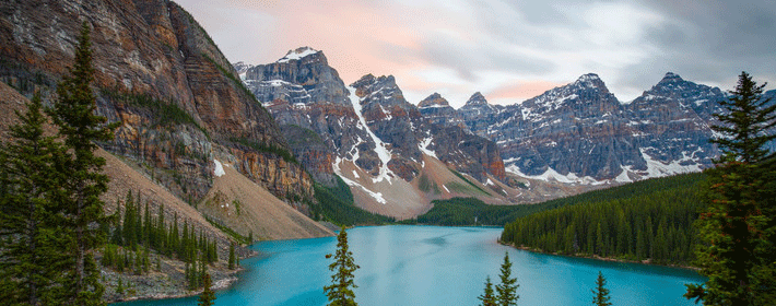 客厅植物摆放风水的禁忌