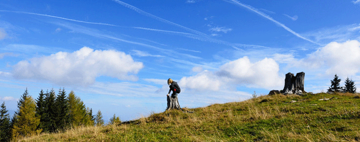 如何让沙发背景墙为你招好运?