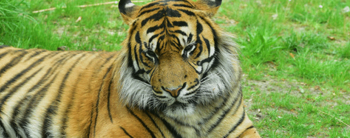 影响学业和事业的书桌摆放禁忌