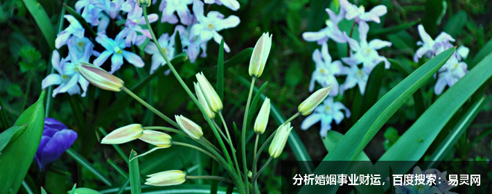 祖坟墓地出现这现象，大事不妙