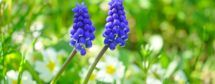 这些痣的位置，影响到一生运势