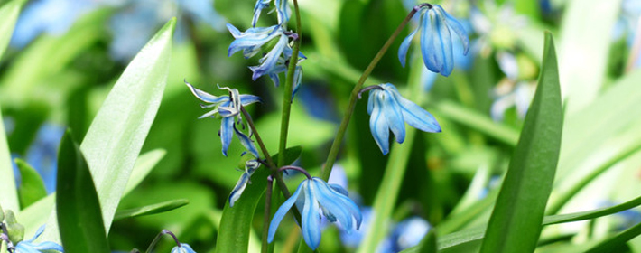 道教：三不问、三不言、三不起