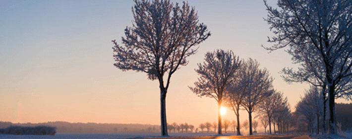 六丁六甲天书有哪些内容?