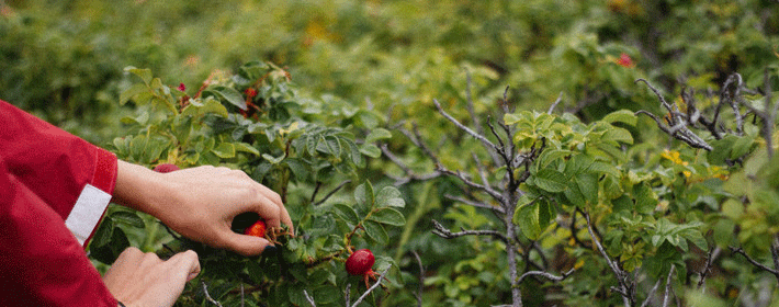 学佛与不学佛到底有什么差别？