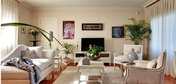 家中养什么植物风水好家中客厅养一些果实类植物