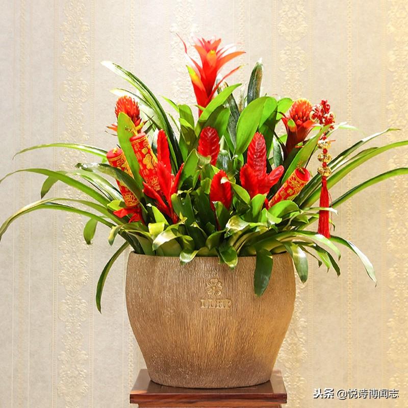 家里风水摆设_风水摆设什么最好_房间摆设风水