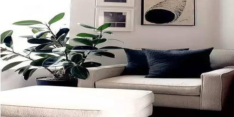 关于家居摆设风水的书_大厅家居摆设风水_家居招财风水摆设要怎么样