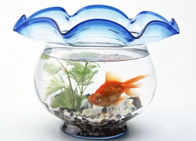 各类风水用品的意义，你知道吗？