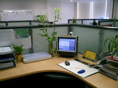 街边算命的大师会说事业运即是财运!