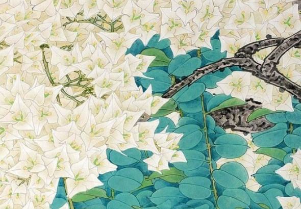 属牛霹雳火命的女人 多具商业才华能力