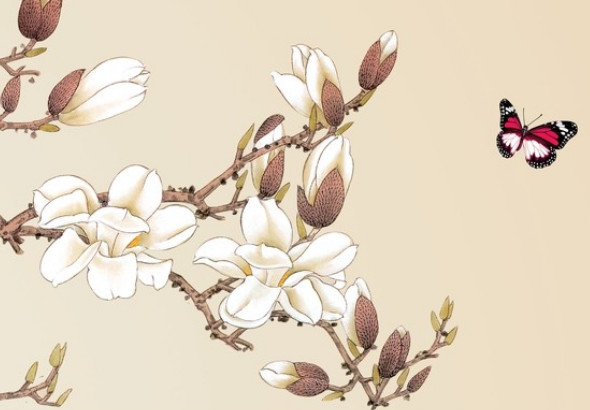 牛宝宝忌什么属相父母 这三个生肖的父母需要特别注意