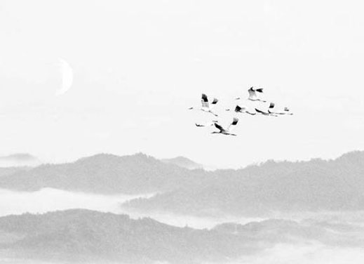 不是本命年穿红袜子可以吗 会影响运势吗